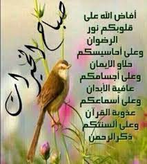 pin by sos q8 on صباح ومساء good morning arabic good morning images morning quotes