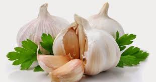 Bawang putih tunggal bukan untuk berzina dan jimat jimatan atau pesugihan atau tolak balak kufur, dukun dukunan dan syirik lainnya biasakan membaca yuk. Marmahfuz Khasiat Bawang Putih Nurich Garlic Tablet