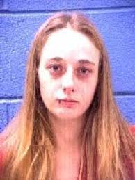 Two arrested in meth lab bust near Springdale