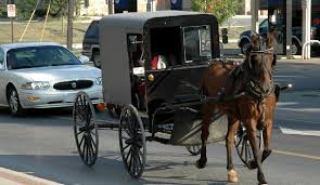 Check spelling or type a new query. Car Or Buggy Which Is Cheaper To Drive News Lancasteronline Com