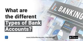 What Are The Different Types Of Bank Accounts Accounting Different Types Bank Account