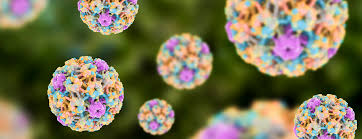 Hpv type — distribution in women with and human papillomavirus (hpv) infection in pregnant women and mother — to — child. Hpv Dna Test