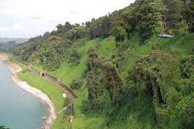 Botanischer Garten Batumi Sahraguate Flickr