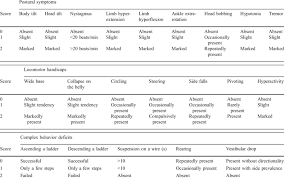 Image result for Behavioral Activity Rating Scale