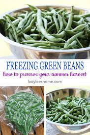 Green beans are a staple of every vegetable garden because they are so easy to grow—even in limited space—and incredibly productive! Blanching Green Beans For Freezing Green Beans Blanching Green Beans Preserving Green Beans
