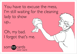 You Have To Excuse The Mess I M Still Waiting For The Cleaning Lady To Show Up Oh My Bad I F Clean Funny Memes House Cleaning Humor Cleaning Quotes Funny