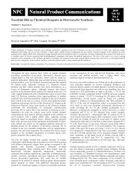 Image result for Aeollanthus myrianthus