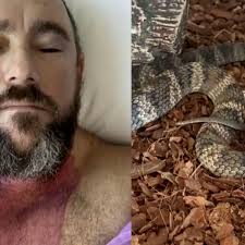 Перевод слова snake, американское и британское произношение, транскрипция, словосочетания, однокоренные слова, примеры использования. Snakes Snake Handler Almost Killed By His Own Deadly Pet Reptile