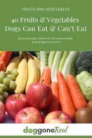 Fruits And Vegetables Dogs Can Eat Fruitsandvegetablesfordogs Realfood Realfoodfordogs Fruit Dogs Can Eat Foods Dogs Can Eat Raw Dog Food Recipes