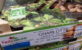 Planter Les Pommes De Terre Quand Et Comment