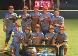 Sandlot 10U Baseball Takes Second at World Series, 12U Softball State  Runner-Up