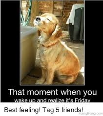 Happy Friday Memes Ultima Status