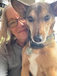 Hello! Can somebody please help me understand why my tradescantia zebrina  grows upwards and not downwards? 😂 It's indoors at the moment because of  UK weather, it goes out in the summer