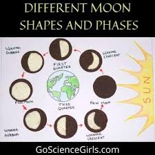 Lunar phase or phases of moon indicates the illuminated portion of the moon which a person observes from the earth.the revolution of moon around earth makes. Explore Phases Of The Moon Using Oreo Cookies Worksheets Lesson Plans
