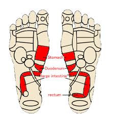 41 Prototypal Foot Reflexology Chart Stomach