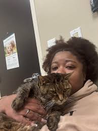 I'm so incredibly heartbroken I don't even know what to do with myself. My  poor sweet little Paul passed away so suddenly, I have no idea what  happened. He wasn't sick, I