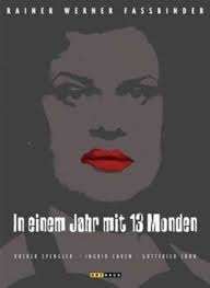 In Einem Jahr mit 13 Monden [Import allemand]