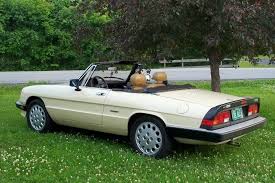 Image result for Ivory 1968 Alfa-Romeo
