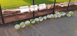 Monitorizăm rapid prețurile din moldova minime și maxime pentru lucrările de construcție, care sunt stabilite de meşterii prezentați în catalogul nostru. Scandal La Rapid Cum S Au Razbunat Fanii Pe Jucatori Dupa Ce Echipa A Ratat Primele Victorii Ale Anului In Liga 2 Sport Ro