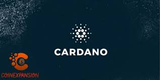 Vyas assumes that the price of an asset will rise to $5 dollars in 5 years if the development reaches all the. Will Cardano Reach 200
