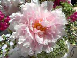 We even offer flower delivery nationwide! Furst The Florist Greenhouses Florists The Knot