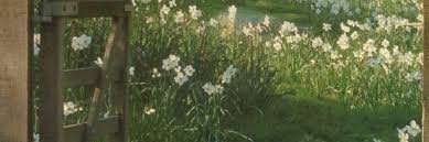 Pin on green aesthetic header. Wildflower Header Tumblr Posts Tumbral Com