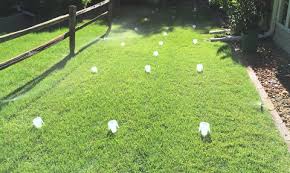 Iot systematic and automated regulation of irrigation systems for backyard farming operations using nodemcu v3. Auditing Home Lawn Irrigation Systems Umn Extension