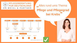 +zuschuss umbau pflegekasse bei paliativ patienten. Pflegegrad Bei Krebs Beantragen So Geht S Dr Weigl Partner