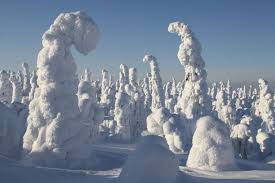 Weitere ideen zu winterbilder, winterlandschaft, winterwunderland. Winterurlaub In Lappland Aktiver Winterspass Fur Die Ganze Familie