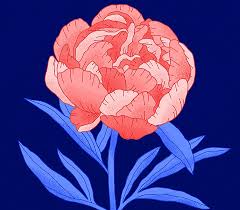 Maybe you would like to learn more about one of these? How To Draw Flowers Step By Step Adobe