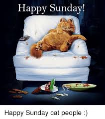 Free inspirational islamic quotes in urdu with beautiful images. Happy Sunday Jokes Happy Sunday Sms Quotes Funny Texts
