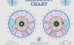 65 Always Up To Date Iridology Eye Chart Dr Morse