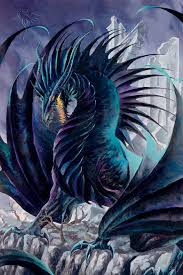 Black And Purple Dragon Art Blue Purple Dragon Webbed Stones Dragons Fantasy Dragon Dragon Pictures Dragon Artwork