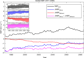 long term terrestrial carbon uptake