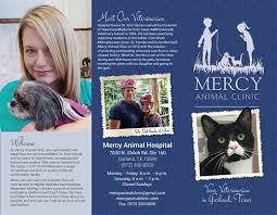 Welcome to our dallas animal hospital. Make Great Promotional Brochures Today S Veterinary Business