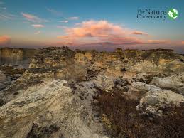 Hike through those walls to scenic viewpoints, where you can examine fossil formations of ancient. Little Jerusalem Badlands State Park