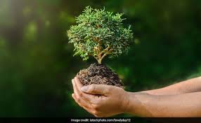 इस तरह लोगो में विश्व पर्यावरण दिवस के प्रति अलख जगाये. à¤µ à¤¶ à¤µ à¤ªà¤° à¤¯ à¤µà¤°à¤£ à¤¦ à¤µà¤¸ à¤ªà¤° à¤¨ à¤¬ à¤§ à¤¸ à¤°à¤• à¤·à¤£ à¤‡à¤¤ à¤¹ à¤¸ à¤¹ à¤¦ à¤® World Environment Day Essay In Hindi History Significance 2018 2019 100 200 500 Words