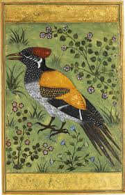 Image result for vibhishana the bird