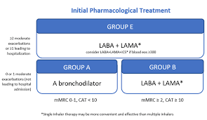 Image result for COPD Management