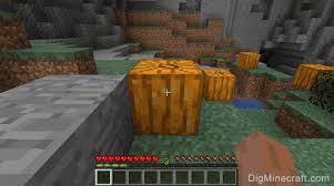 Now that you have filled the crafting area with the correct pattern, the pumpkin pie will appear in stack size is the maximum stack size for this item. How To Make A Pumpkin In Minecraft