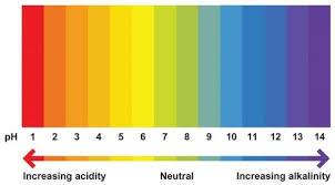 The Ph Colour Chart Image Credit Abcam Com Past Exam