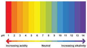 the ph colour chart image credit abcam com past exam