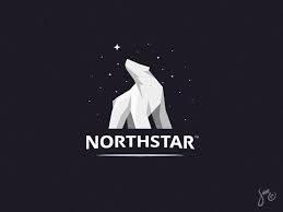Northstar Logo Type Gang