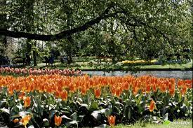 pin en les plus beaux jardins du monde