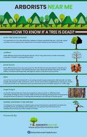 If there are no buds, or if the buds are shriveled and dry, this indicates a dead branch. Discover How To Know If A Tree Is Dead