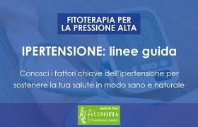 Importantissima fonte di proteine vegetali, sono ricchi in fibre e potassio. Ipertensione Arteriosa Dieta E Rimedi Naturali