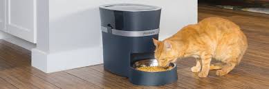 Since i'm going to be gone from home for a week i decided to put together an automatic cat feeder to feed my cat amapola during my absence. Automatic Pet Feeders Dog Cat Food Dispenser Petsafe