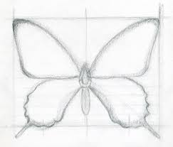 how to draw a butterfly surprisingly easy