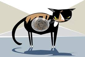 Fortunately, this type of tumor is very rare in cats. Mitzi And The Giant Hairball Illinois