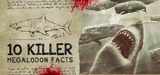 10 Killer Megalodon Shark Facts Fossilera Com